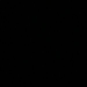 Meet your Posher, Ani